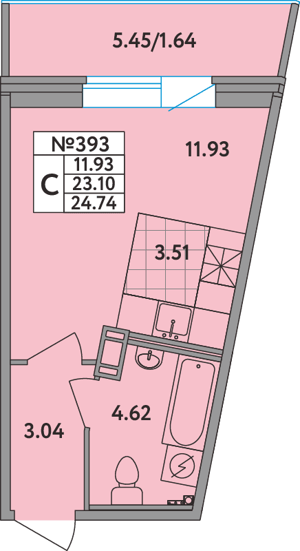 Квартира-студия, 24.5 м² в ЖК "Удача (Вита)" - планировка, фото №1
