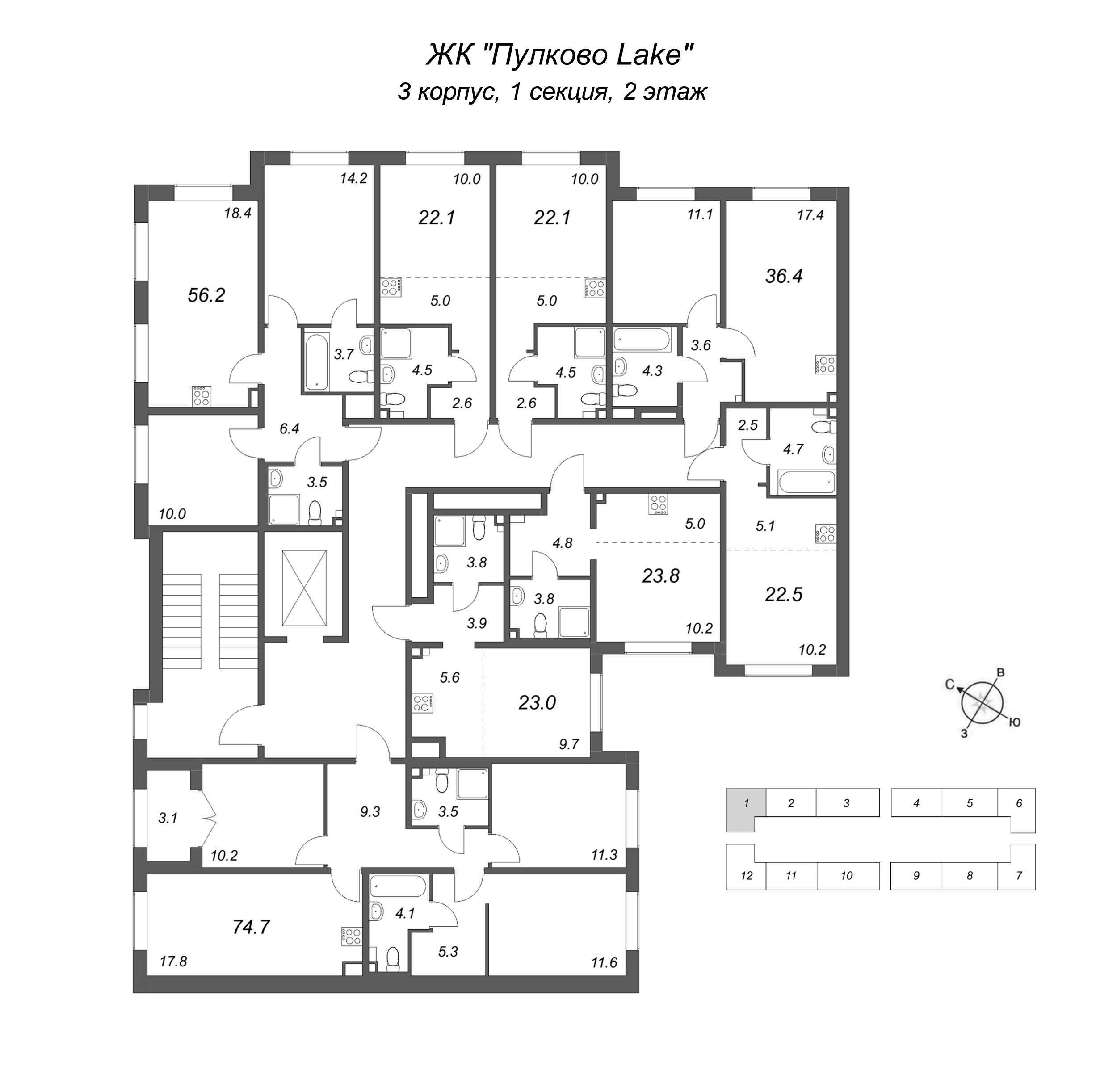 3-комнатная (Евро) квартира, 56.2 м² в ЖК "Пулково Lake" - планировка этажа