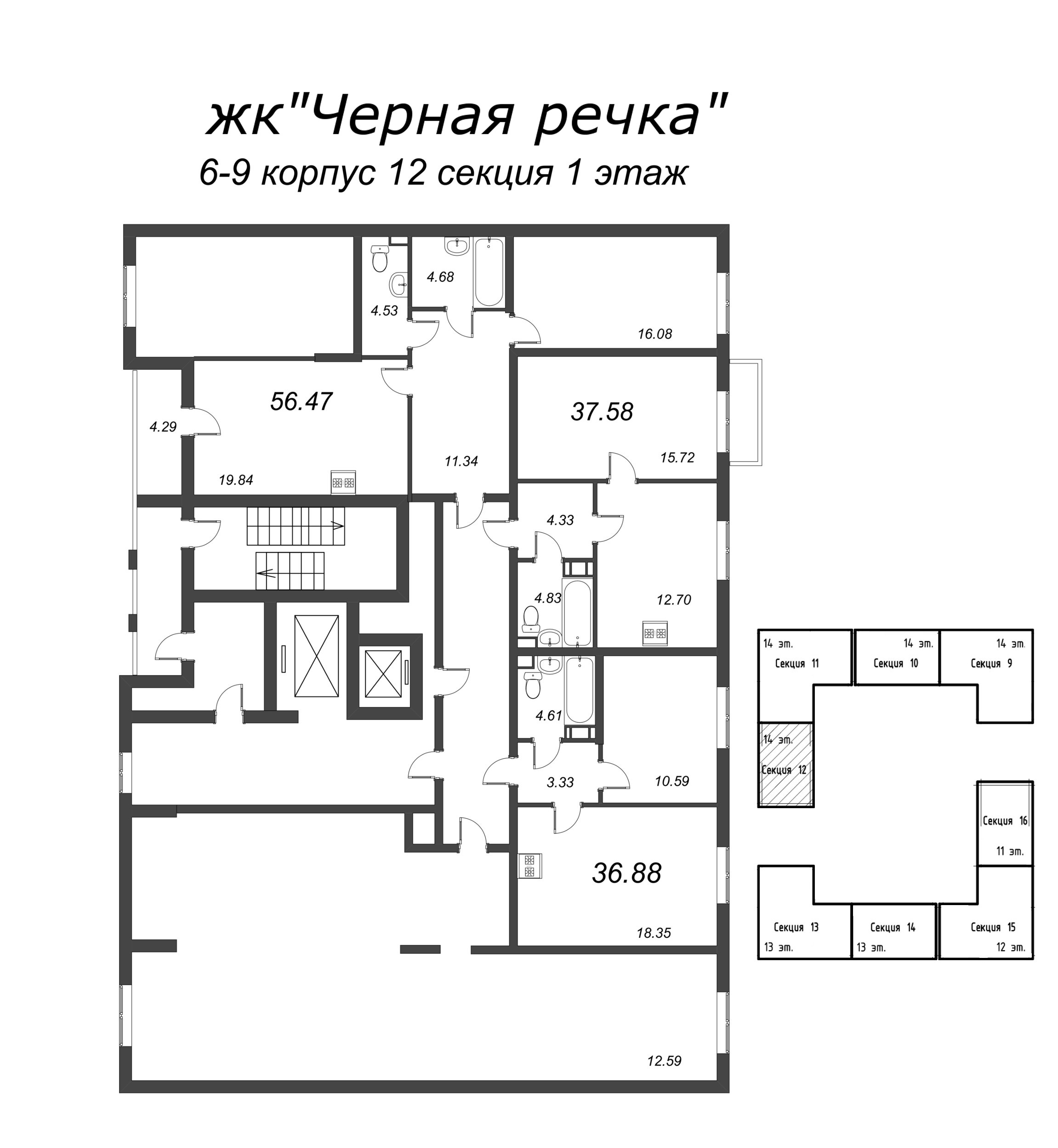 2-комнатная (Евро) квартира, 36.88 м² в ЖК "Чёрная речка" - планировка этажа