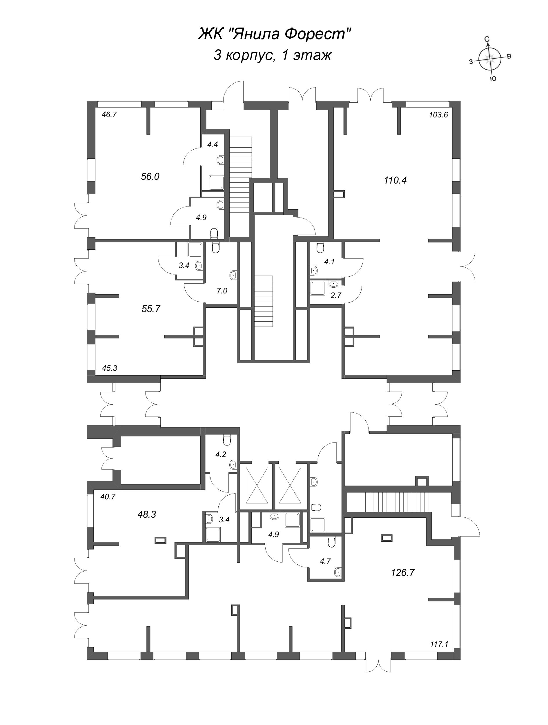 Помещение, 48.3 м² - планировка этажа